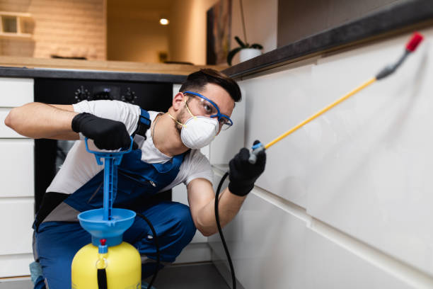 Best Termite Control Services  in Santa Clara, NM