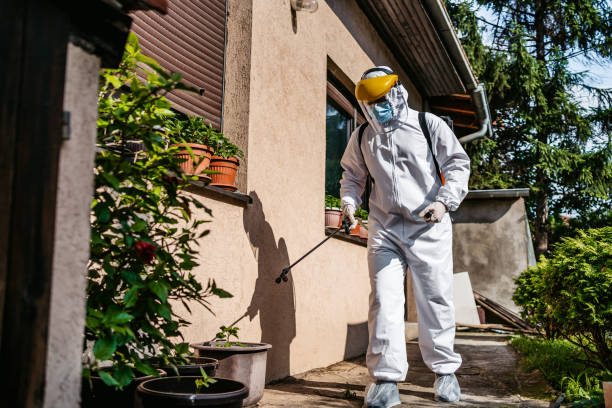 Best Bed Bug Extermination  in Santa Clara, NM