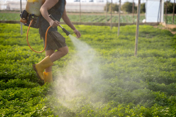 Best Affordable Pest Control Services  in Santa Clara, NM