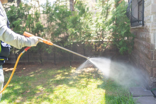 Best Rodent Control Near Me  in Santa Clara, NM